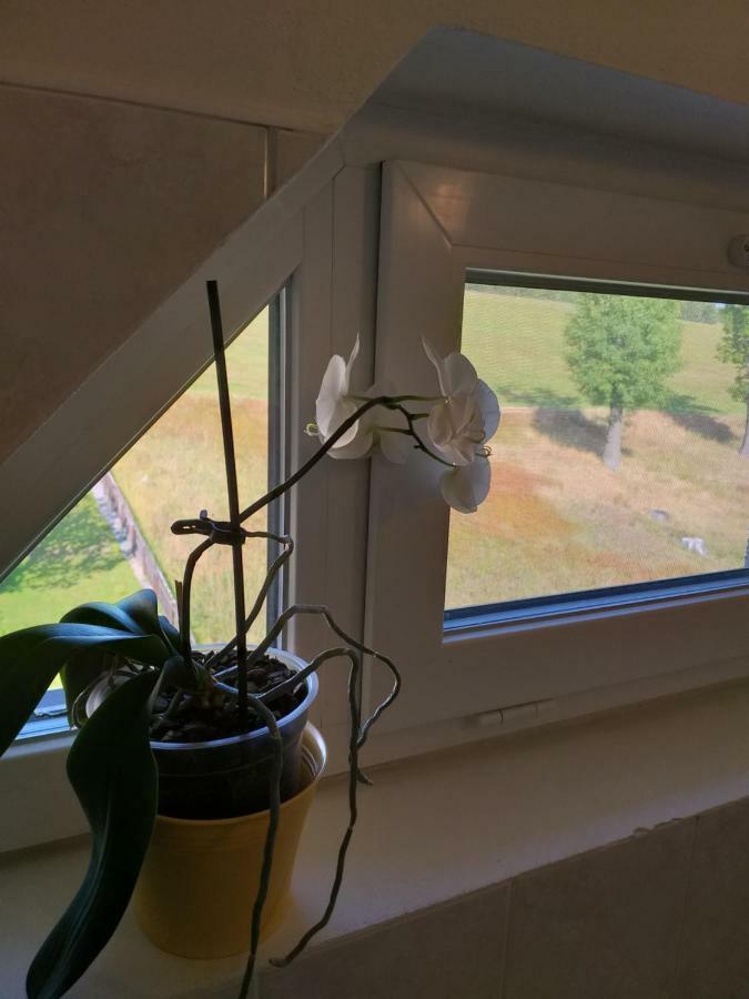 U Pohody Hotel Kovářská Kültér fotó